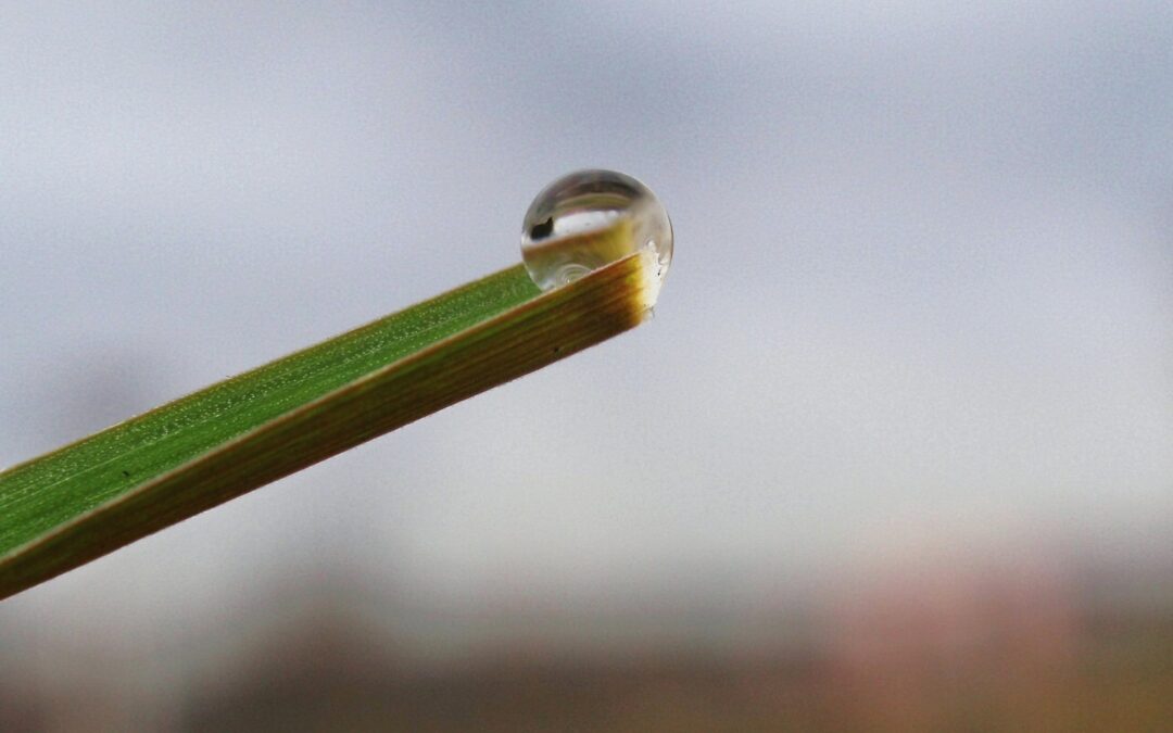 Eerste hulp bij een vermoeidheidsdip